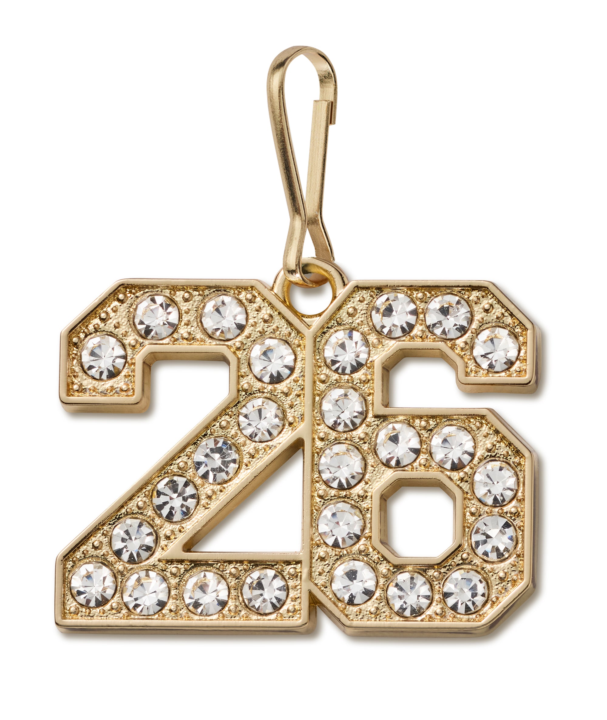 Status Zipper Pull 2026